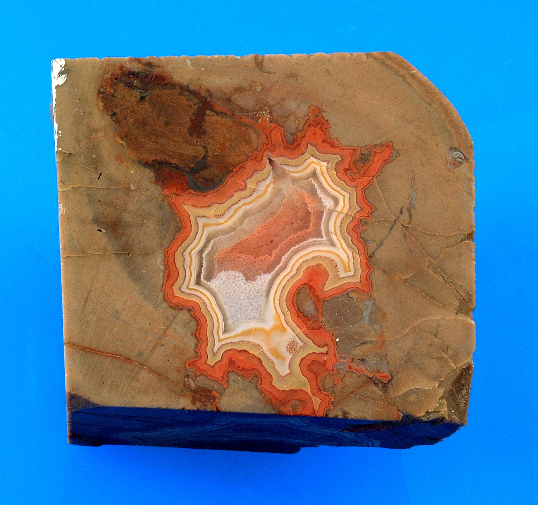 Cut agate showing concentric banding in hand specimen.