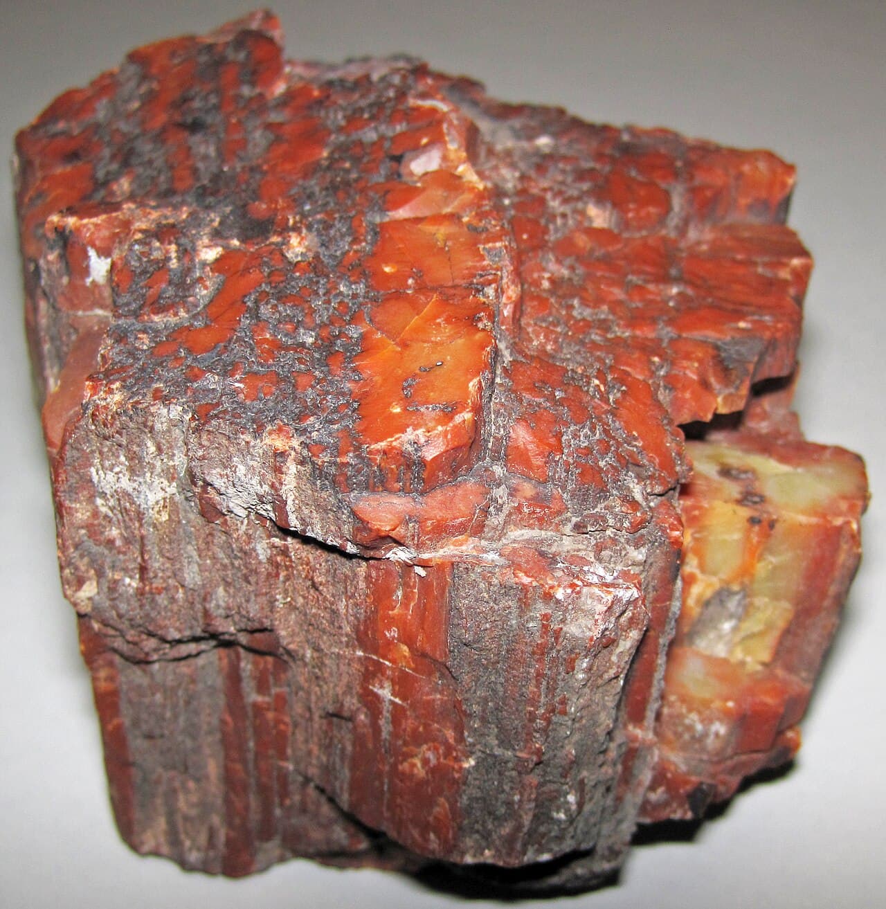 Petrified Wood
